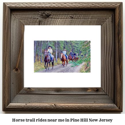 horse trail rides near me in Pine Hill, New Jersey